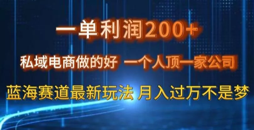 一单利润200私域电商做的好，一个人顶一家公司蓝海赛道最新玩法【揭秘】-山河网创