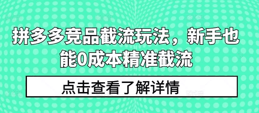 拼多多竞品截流玩法，新手也能0成本精准截流-山河网创