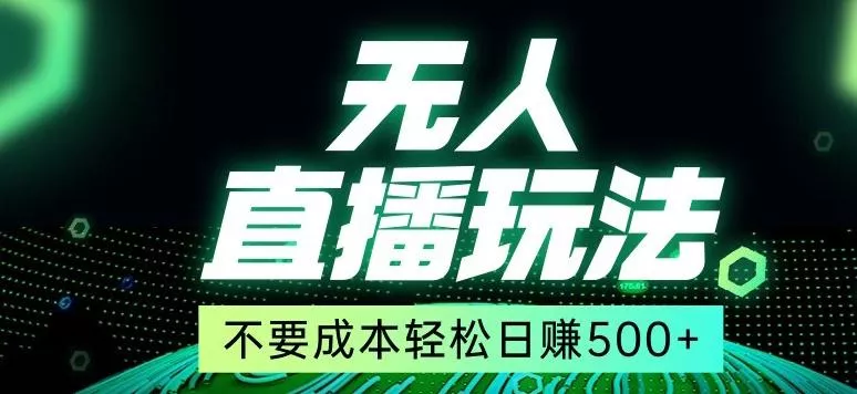 全网首发24年最新无人直播玩法，不需要成本，无需人力，一台电脑24小时为你工作-山河网创