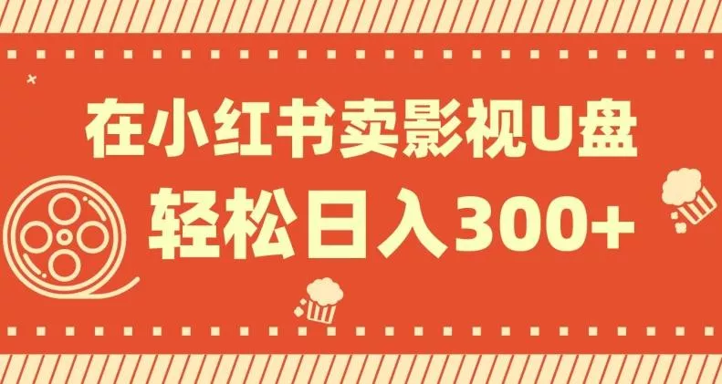 在小红书上卖影视U盘，轻松日入300+，操作简单，小白可轻松上手-山河网创
