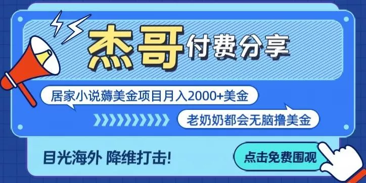 拆解海外撸美金项目月入2000美刀详细指导-山河网创