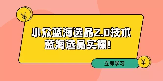 拼多多培训第33期：小众蓝海选品2.0技术-蓝海选品实操！-山河网创