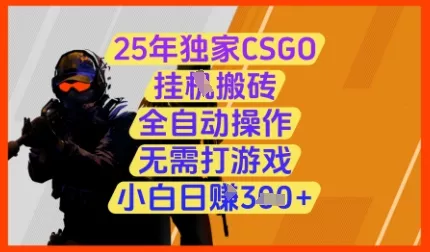 25年独家CSGO挂G搬砖，全自动操作，无需打游戏，小白日入3张+【揭秘】-山河网创