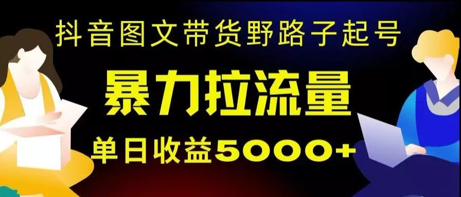 抖音图文带货暴力起号，单日收益5000+，野路子玩法，简单易上手，一部手机即可【揭秘】-山河网创