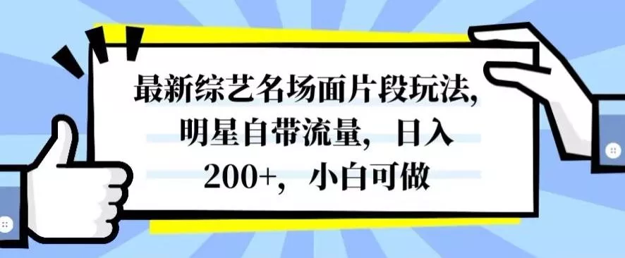 最新综艺名场面片段玩法，明星自带流量，日入200+，小白可做【揭秘】-山河网创