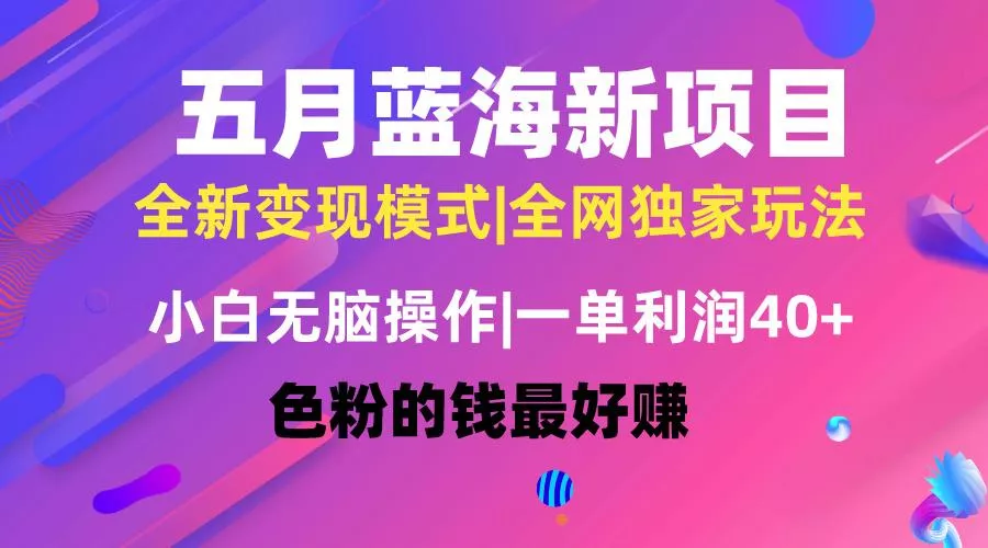 五月蓝海项目全新玩法，小白无脑操作，一天几分钟，矩阵操作，月入4万+-山河网创