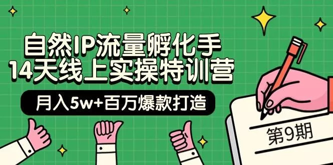 (9881期)自然IP流量孵化手 14天线上实操特训营【第9期】月入5w+百万爆款打造 (74节)-山河网创