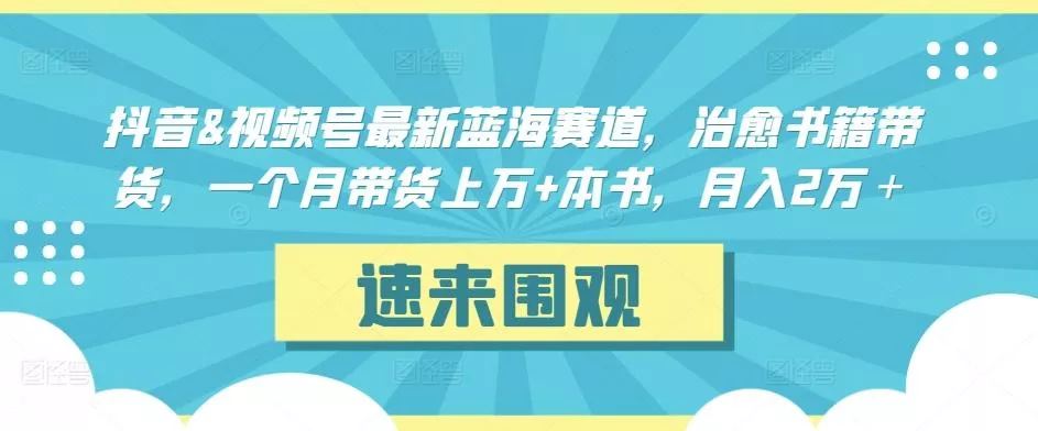 抖音&视频号最新蓝海赛道，治愈书籍带货，一个月带货上万+本书，月入2万＋【揭秘】-山河网创