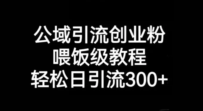 公域引流创业粉，喂饭级教程，轻松日引流300+【揭秘】-山河网创