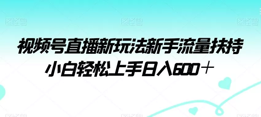 视频号直播新玩法新手流量扶持小白轻松上手日入600＋【揭秘】-山河网创