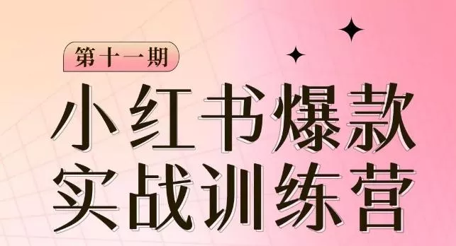 小红书博主爆款训练营第11期，手把手教你从0-1做小红书，从定位到起号到变现-山河网创