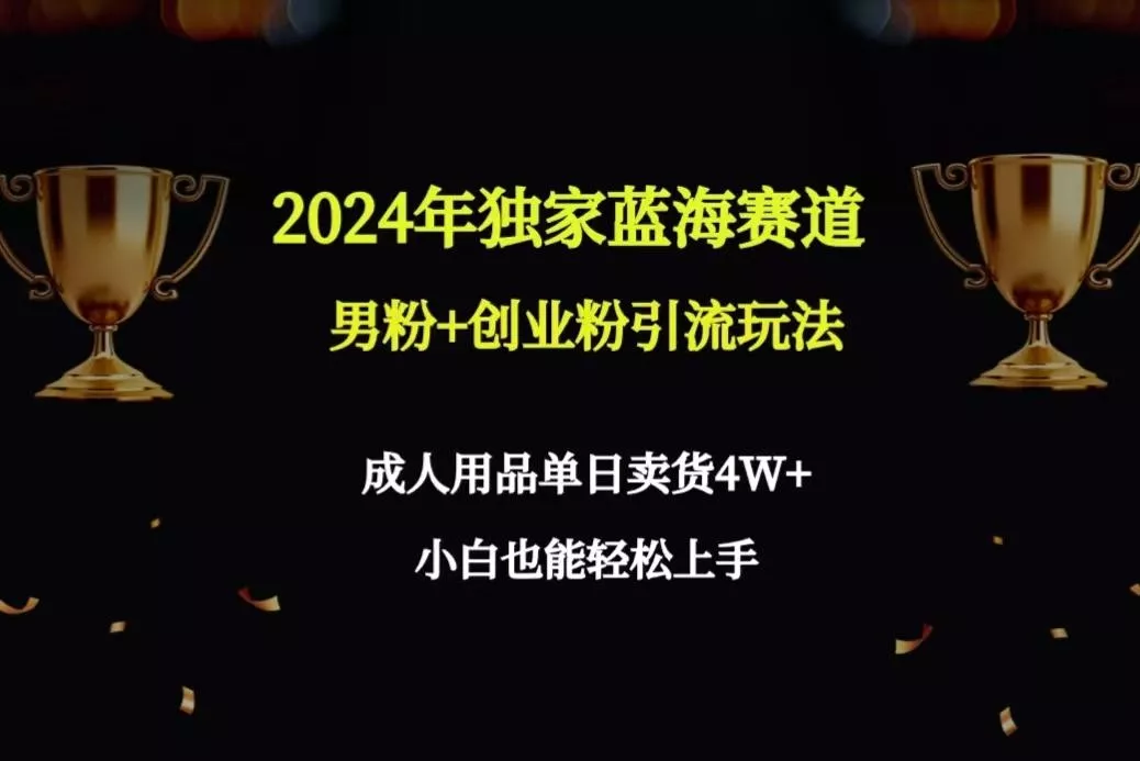2024年独家蓝海赛道男粉+创业粉引流玩法，成人用品单日卖货4W+保姆教程-山河网创
