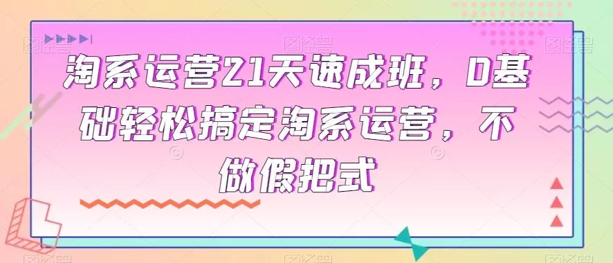 淘系运营21天速成班，0基础轻松搞定淘系运营，不做假把式-山河网创