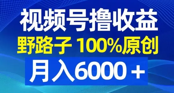视频号野路子撸收益，100%原创，条条爆款，月入6000＋【揭秘】-山河网创