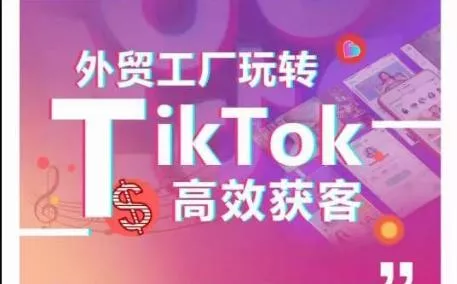 外贸工厂玩转TikTok高效获客，多种引流方式与账号定位技巧，拆解爆款短视频打造成功案例-山河网创