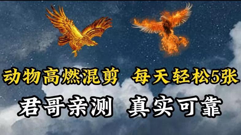 动物超燃混剪，每天轻松5张，剪辑简单大家爱看【揭秘】-山河网创