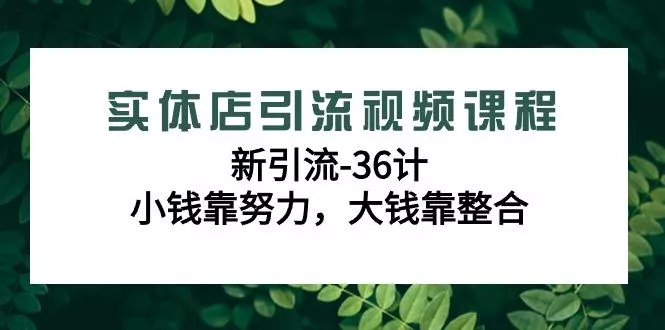 实体店引流视频课程，新引流-36计，小钱靠努力，大钱靠整合(48节课)-山河网创