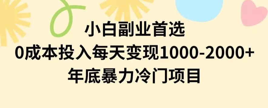 小白副业首选，0成本投入，每天变现1000-2000年底暴力冷门项目【揭秘】-山河网创