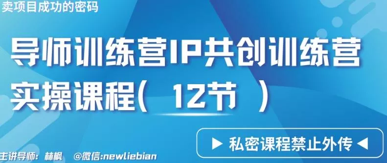 导师训练营3.0IP共创训练营私密实操课程(12节)-卖项目的密码成功秘诀【揭秘】-山河网创