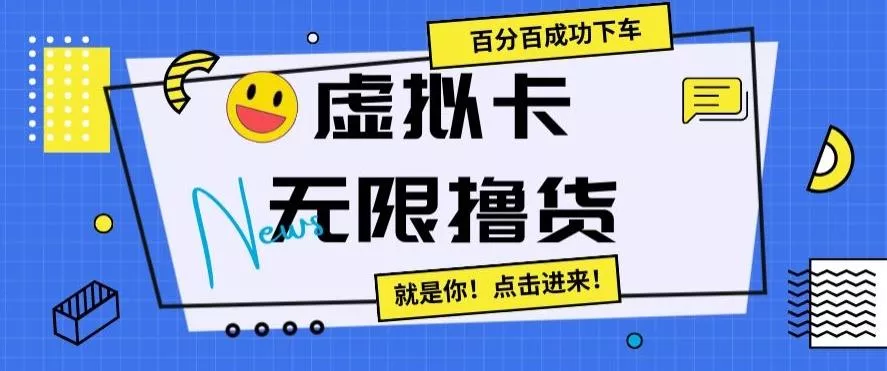 虚拟卡无限撸货，百分百成功下车【仅揭秘】-山河网创