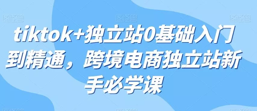 tiktok+独立站0基础入门到精通，跨境电商独立站新手必学课-山河网创