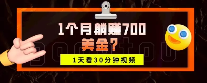 1天看30分钟视频，1个月躺赚700美金？-山河网创
