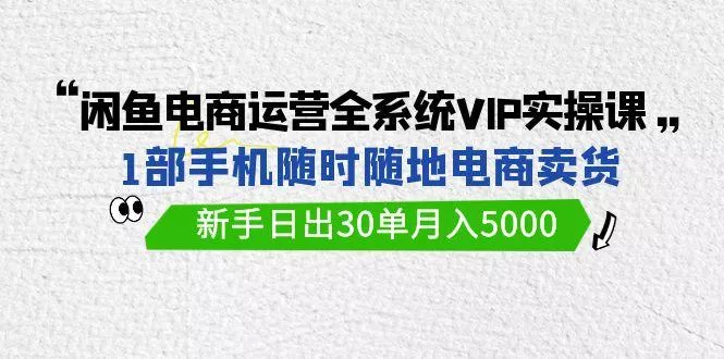 (9547期)闲鱼电商运营全系统VIP实战课，1部手机随时随地卖货，新手日出30单月入5000-山河网创