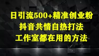 日引流500+精准创业粉，抖音共情自热打法，工作室都在用的方法-山河网创