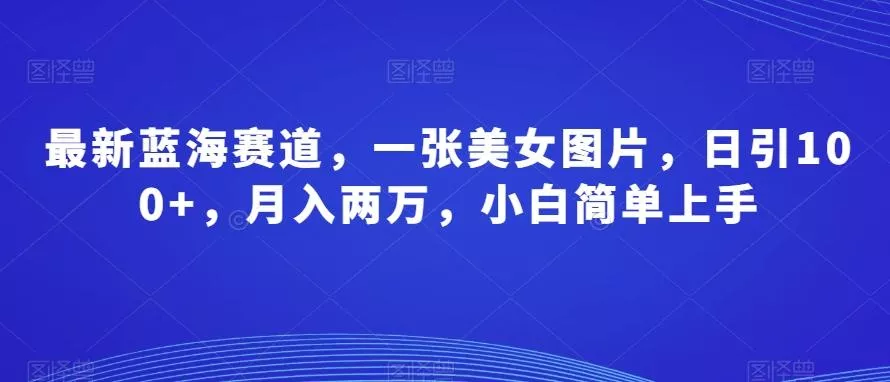 最新蓝海赛道，一张美女图片，日引100+，月入两万，小白简单上手-山河网创