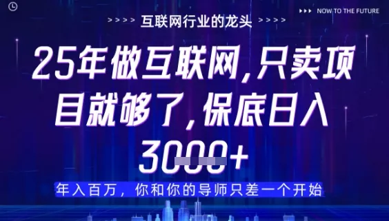 什么！25年你还在找项目做？风口早就变了，卖项目才是稳挣不赔【揭秘】-山河网创