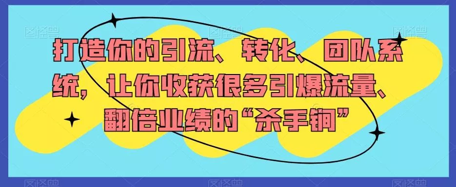 打造你的引流、转化、团队系统，让你收获很多引爆流量、翻倍业绩的“杀手锏”-山河网创