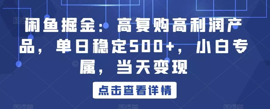 闲鱼掘金：高复购高利润产品，单日稳定500+，小白专属，当天变现-山河网创