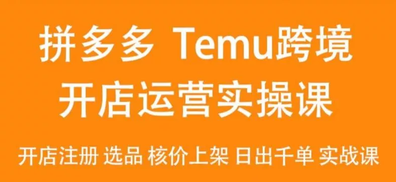 2024Temu最新玩法，Temu跨境开店运营实操课，开店注册/选品/核价上架/日出千单实战课-山河网创