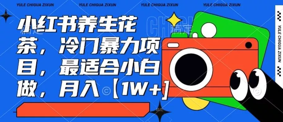小红书养生花茶，冷门暴力项目，最适合小白做，月入【1W+】-山河网创