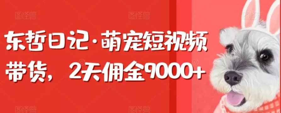 东哲日记·萌宠短视频带货，2天佣金9000+-山河网创