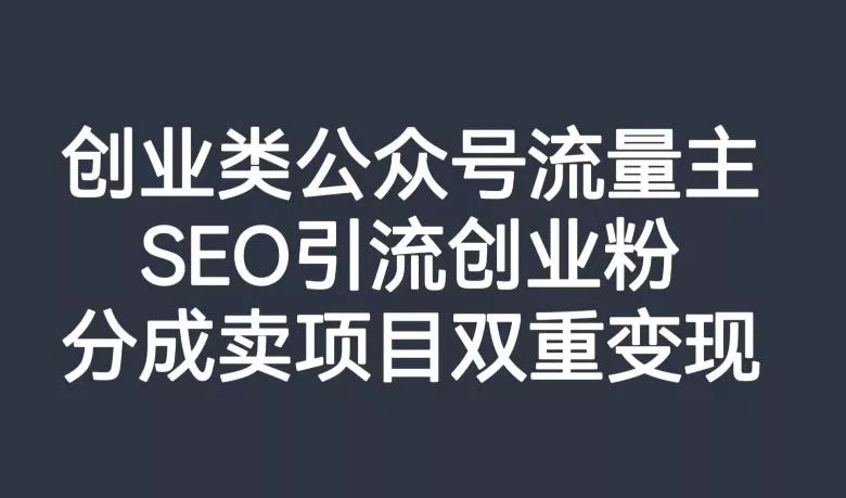 创业类公众号流量主，SEO引流创业粉，分成卖项目双重变现【揭秘】-山河网创