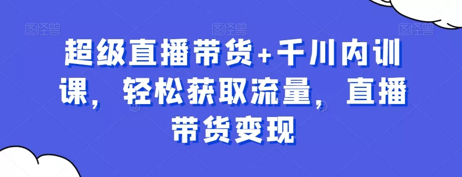 超级直播带货+千川内训课，轻松获取流量，直播带货变现-山河网创