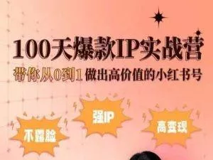小红书100天爆款IP实战营，带你从0到1做出高价值的小红书号-山河网创