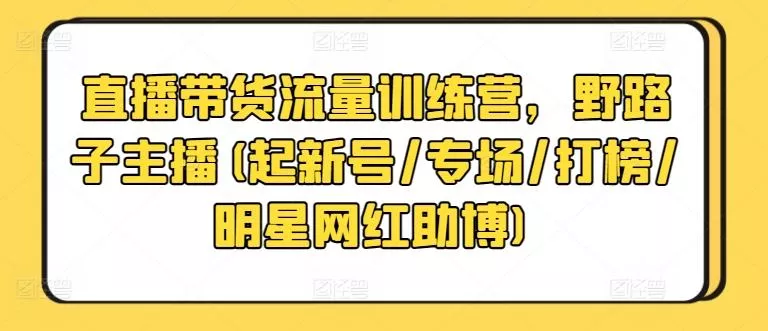 直播带货流量训练营，野路子主播(起新号/专场/打榜/明星网红助博)-山河网创