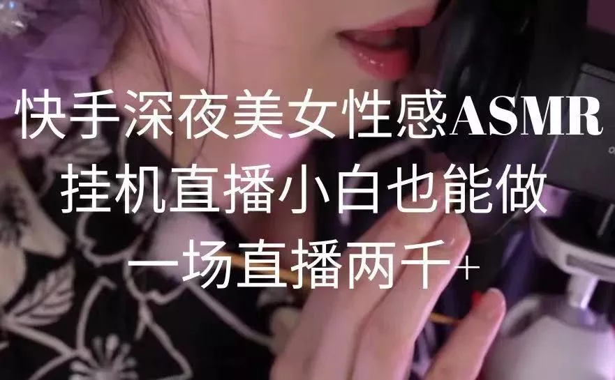 快手深夜美女性感ASMR挂机直播，小白也能做，一场直播两千+-山河网创