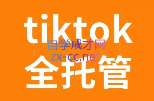 TikTok跨境电商全托管运营模式精品课-山河网创