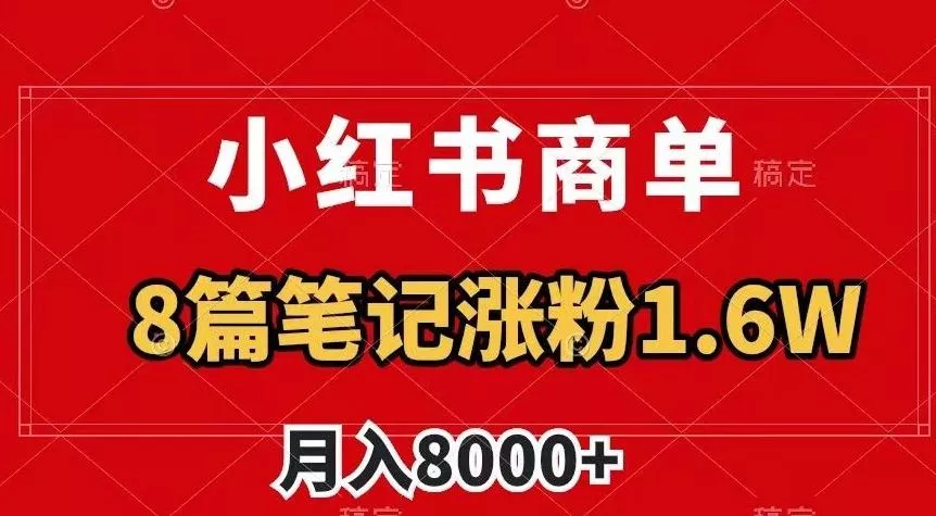 小红书商单最新玩法，8篇笔记涨粉1.6w，作品制作简单，月入8000+【揭秘】-山河网创