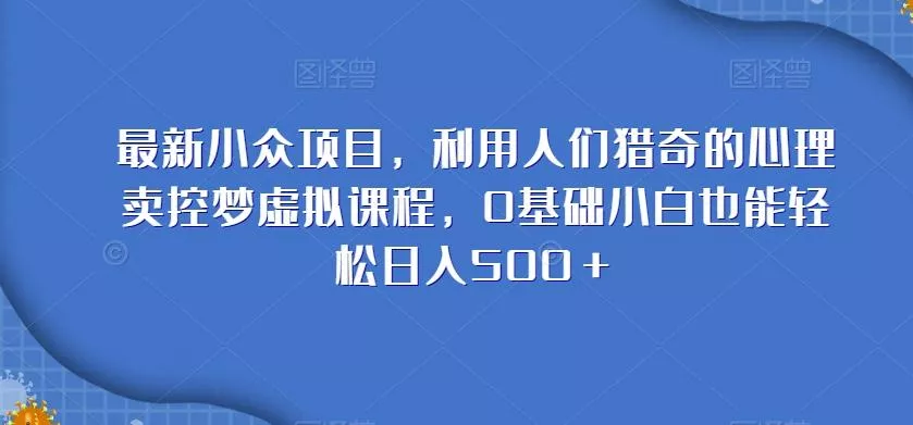最新小众项目，利用人们猎奇的心理卖控梦虚拟课程，0基础小白也能轻松日入500＋-山河网创
