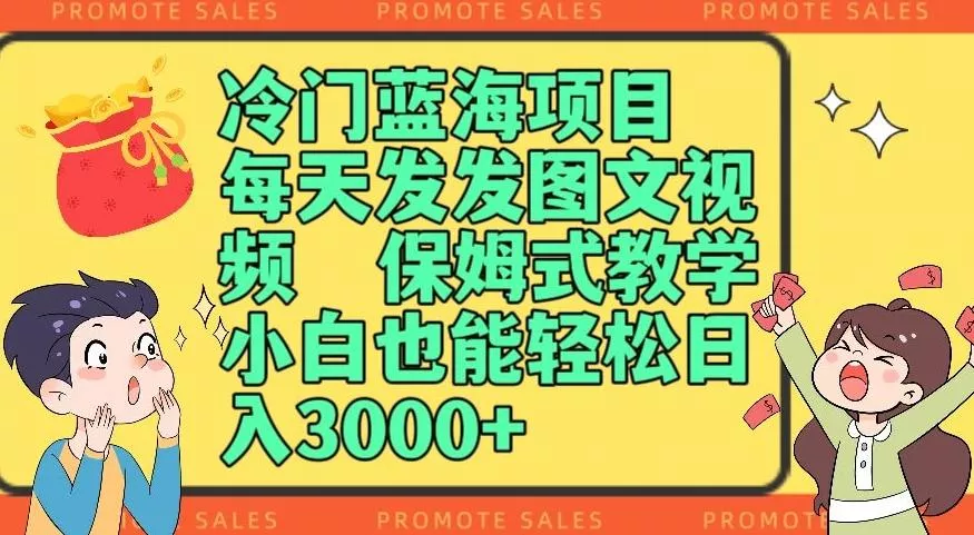 冷门蓝海项目，每天发发图文视频，保姆式教学，小白也能轻松日入3000+-山河网创