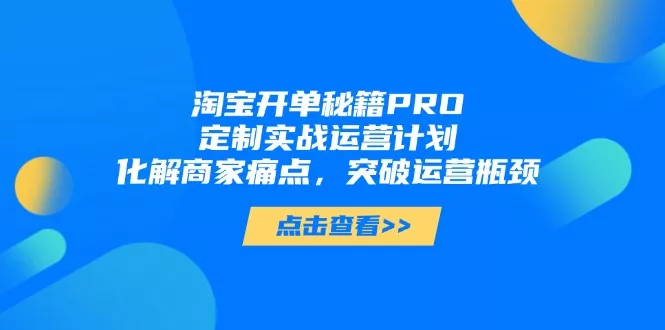 淘宝开单秘籍PRO，定制实战运营计划，化解商家痛点，突破运营瓶颈-山河网创