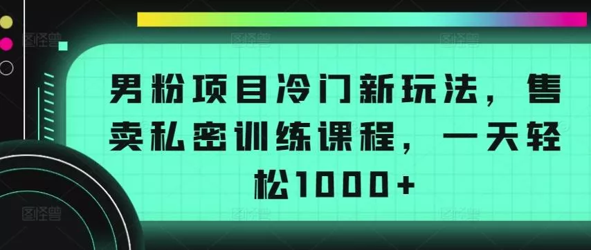 男粉项目冷门新玩法，售卖私密训练课程，一天轻松1000+【揭秘】-山河网创
