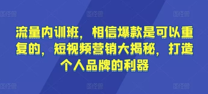 流量内训班，相信爆款是可以重复的，短视频营销大揭秘，打造个人品牌的利器-山河网创