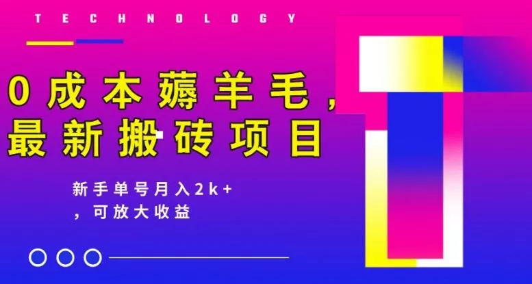 0成本薅羊毛，最新搬砖项目，新手单号月入2k+，可放大操作-山河网创