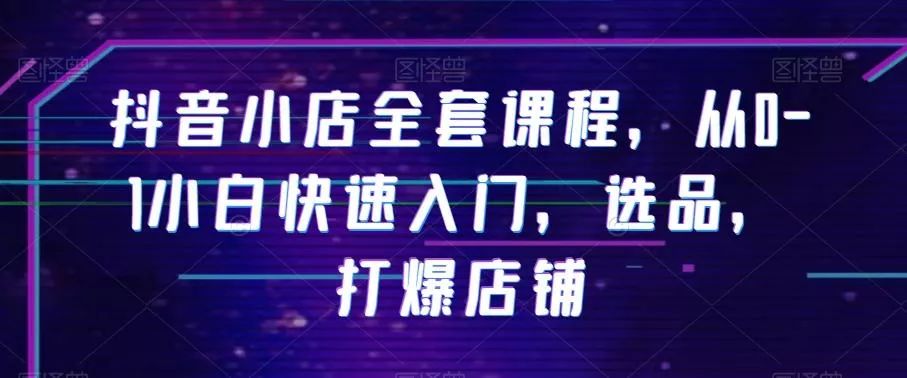 抖音小店全套课程，从0-1小白快速入门，选品，打爆店铺-山河网创
