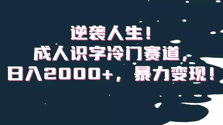 逆袭人生！成人识字冷门赛道，日入2000+，暴力变现！【揭秘】-山河网创